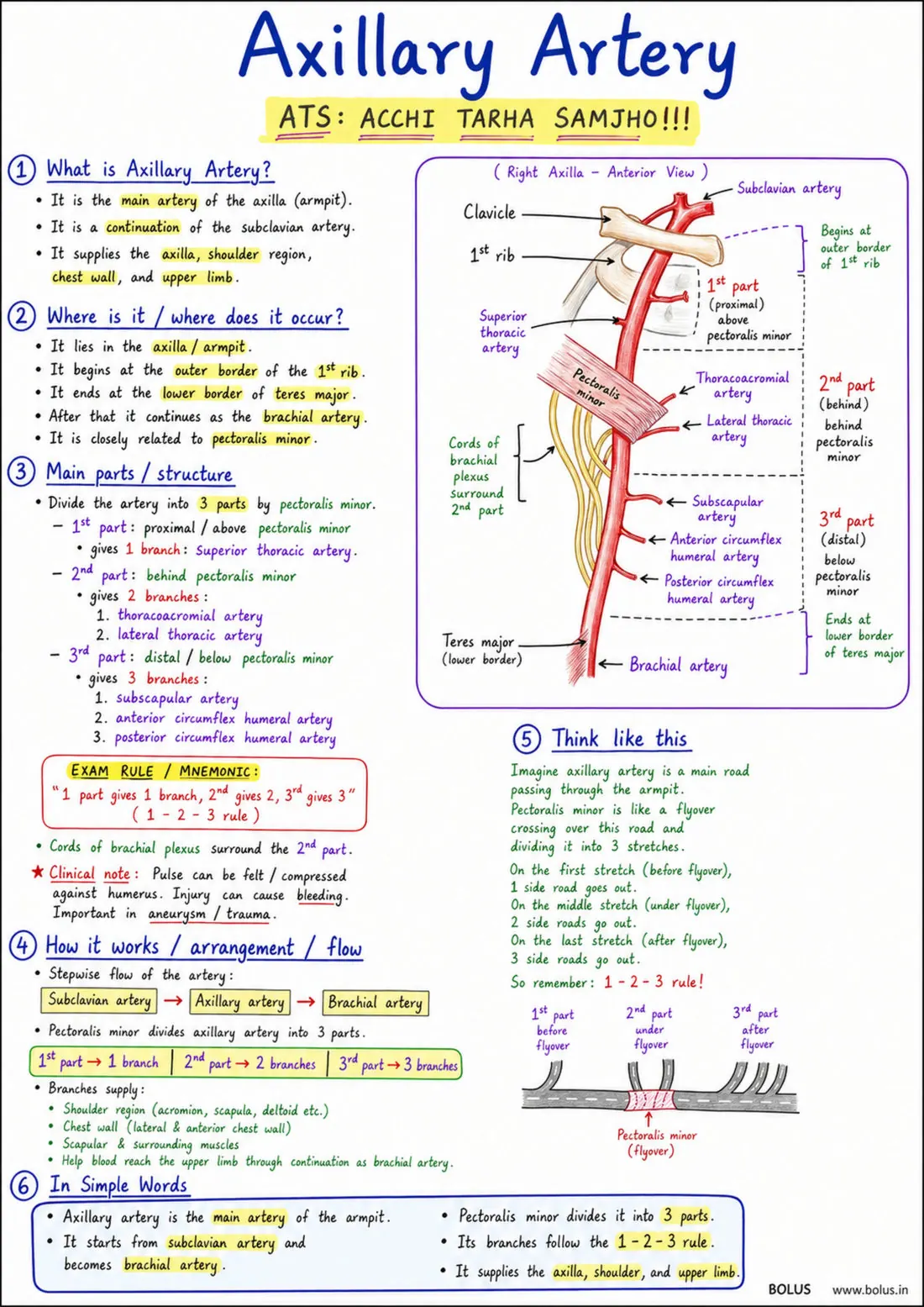 Bolus note: Axillary Artery